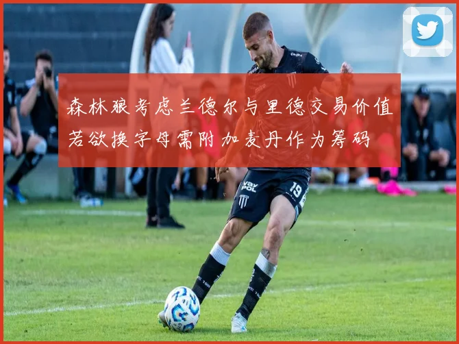 森林狼考虑兰德尔与里德交易价值若欲换字母需附加麦丹作为筹码