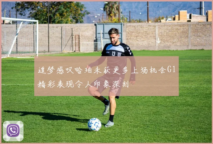 追梦感叹哈珀未获更多上场机会G1精彩表现令人印象深刻