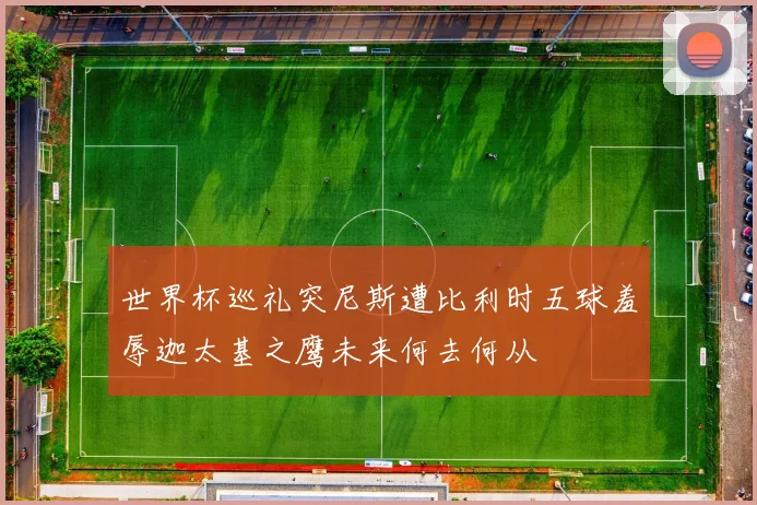 世界杯巡礼突尼斯遭比利时五球羞辱迦太基之鹰未来何去何从